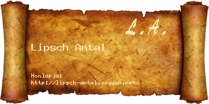 Lipsch Antal névjegykártya